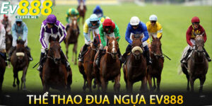 Thể Thao Đua Ngựa ev888